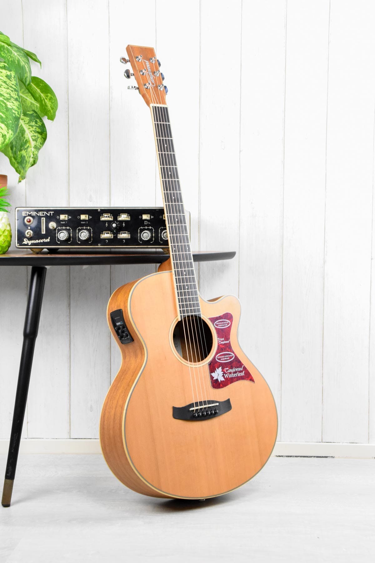 Tanglewood Winterleaf TW9E Semi-Akoestische Western Gitaar