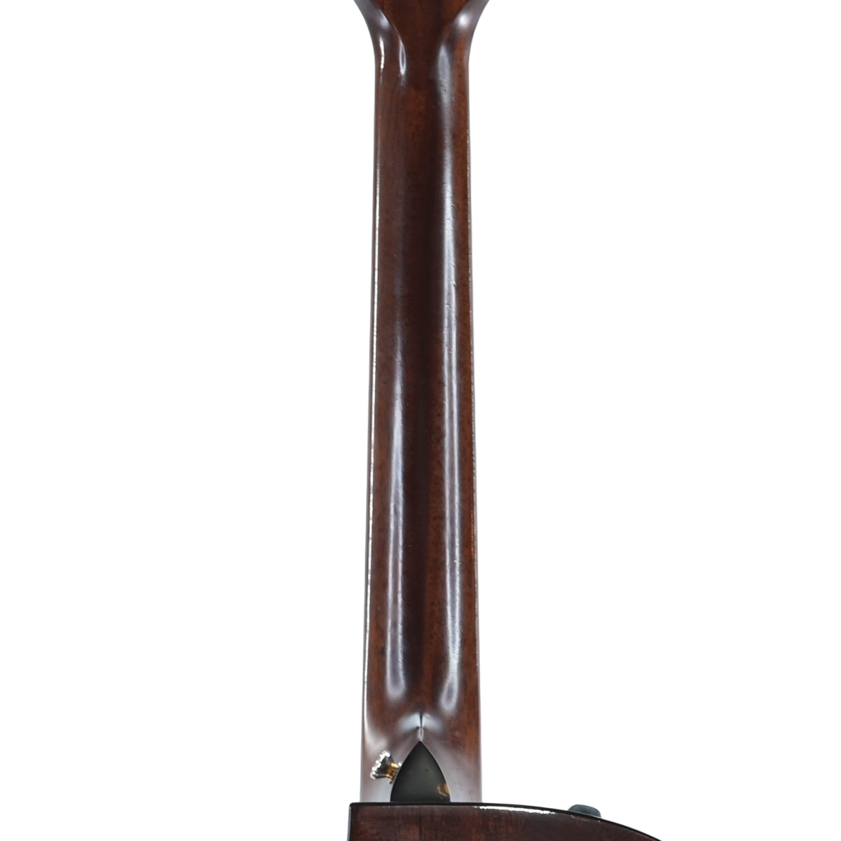 Taylor 516ce