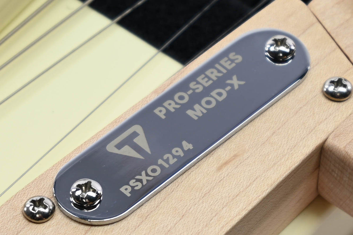 Traveler Guitar Pro-Series Mod-X met tas