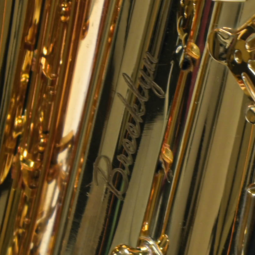 Trevor James Altsaxofoon ''The Horn''