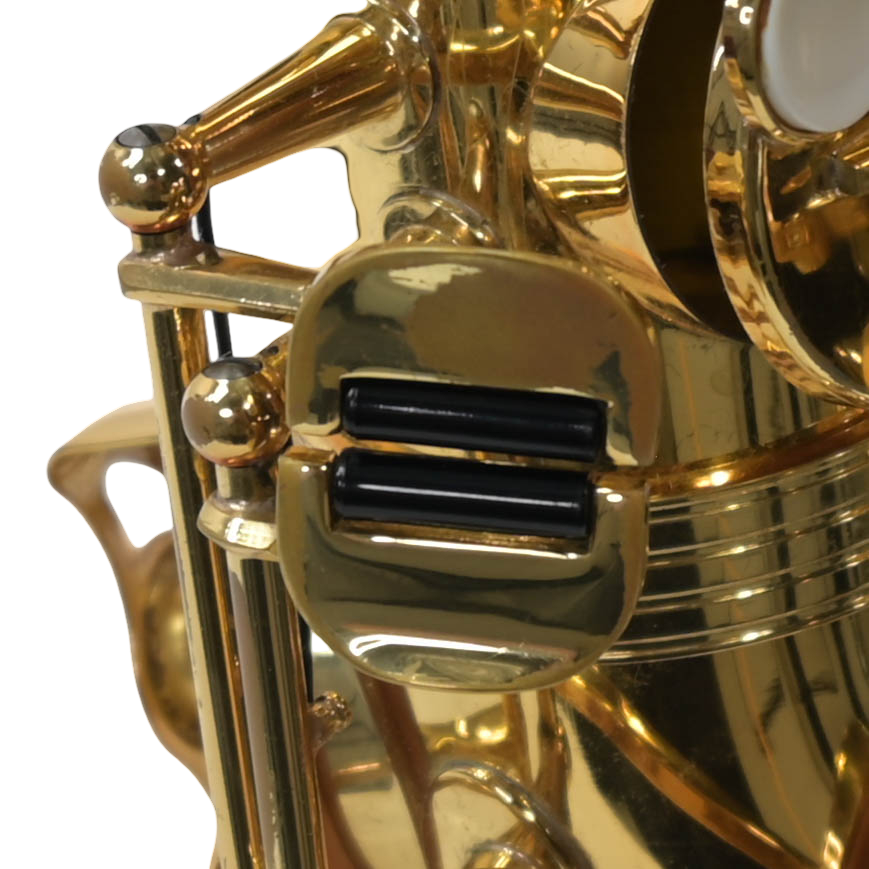 Trevor James Altsaxofoon ''The Horn''