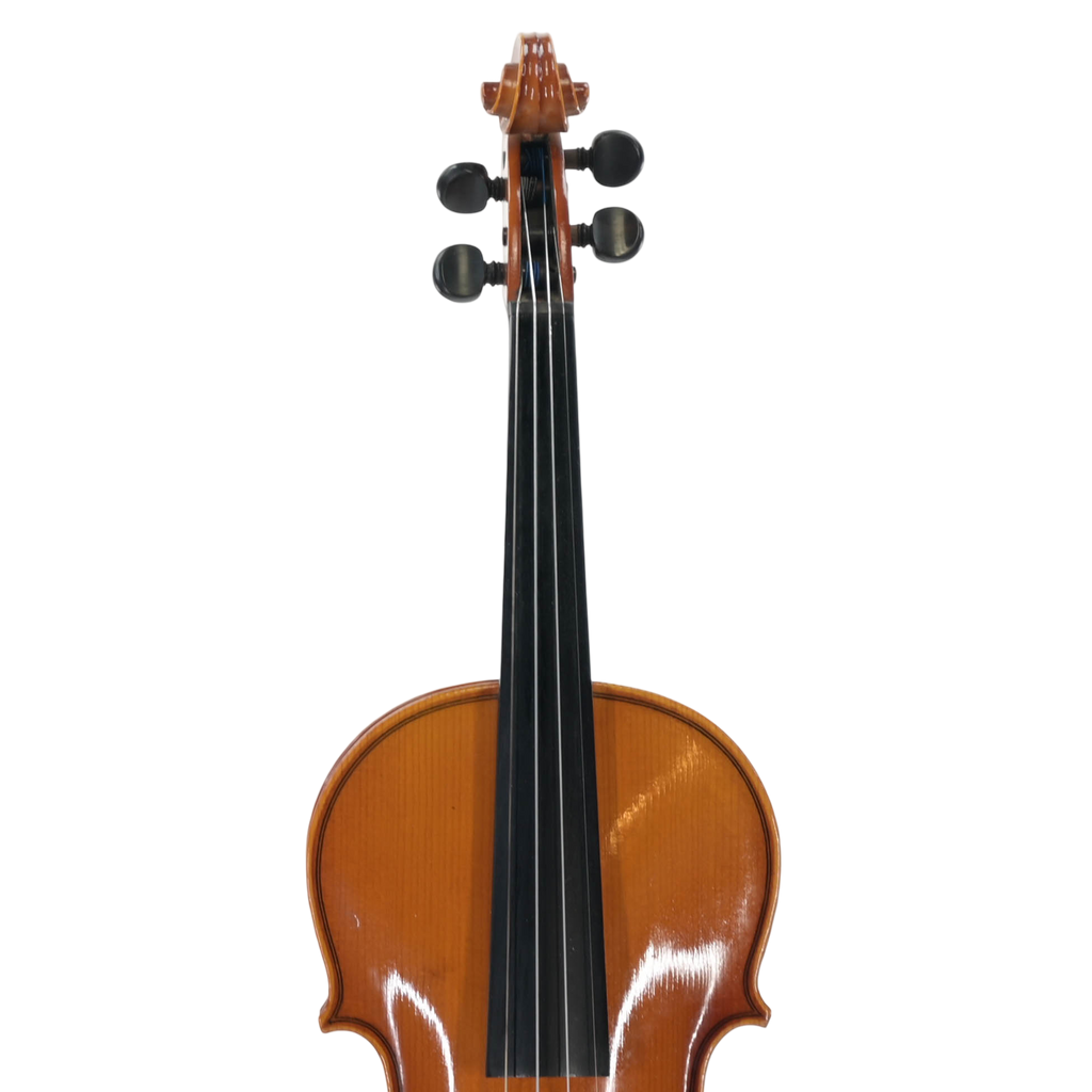 Vioolset 4/4 Paesold ''1883'' Mod Nr 080