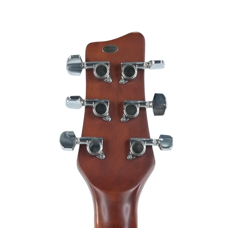 XP Guitars AG450CEQ-BK