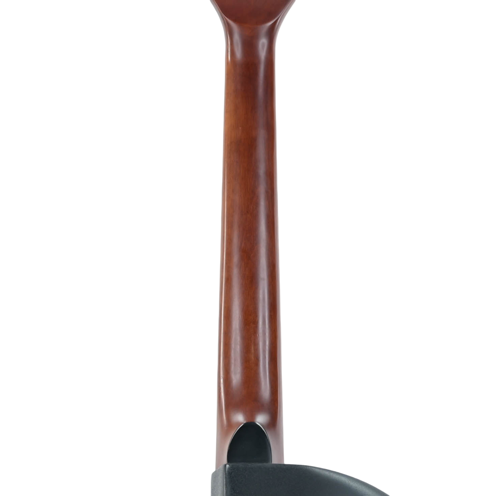 XP Guitars AG450CEQ-BK