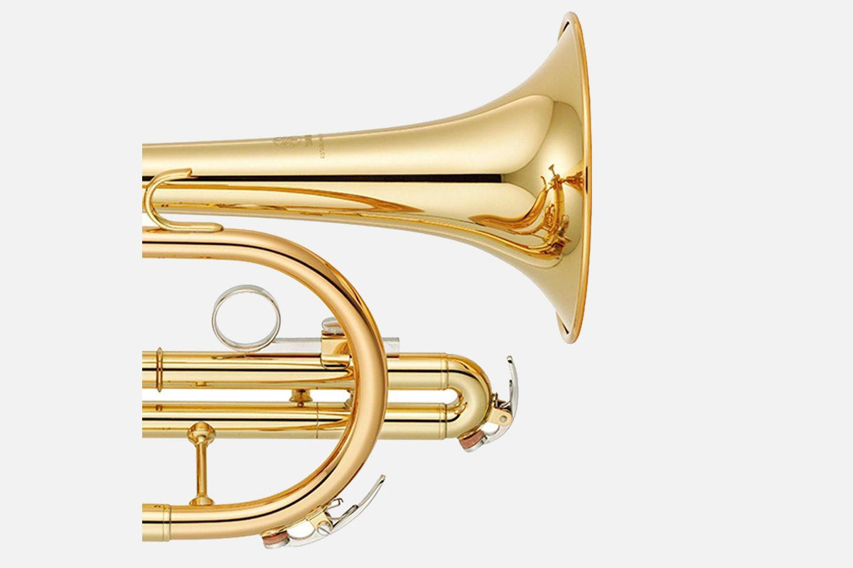 Yamaha YCR2330III Bb cornet goudlak kort model (5297274945700)