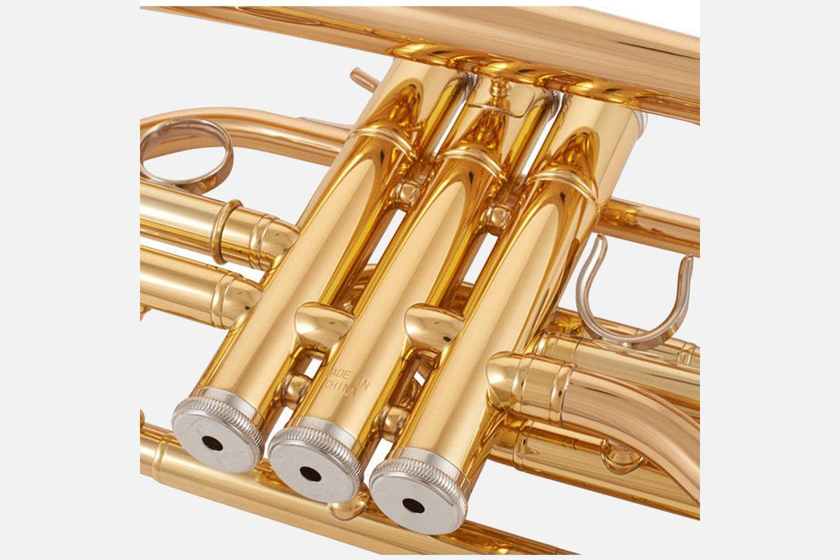 Yamaha YCR4330 GII Bb cornet goudlak (5297292378276)