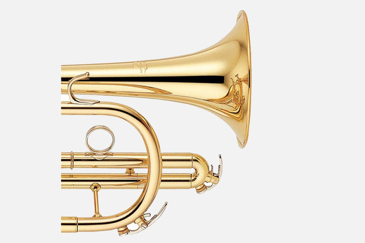 Yamaha YCR6330II Bb cornet goudlak (5297320689828)