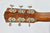 Fender PM-2 Standard semi akoestisch Occasion