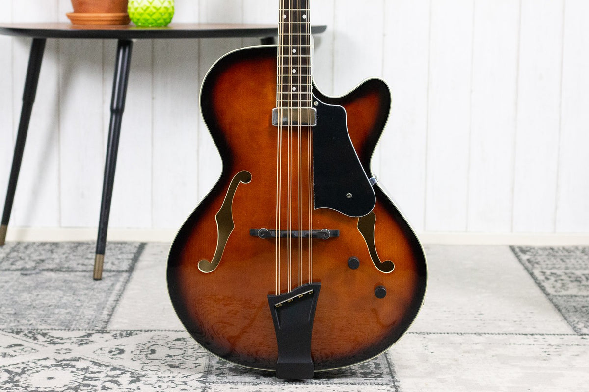 Gold Tone Mandocello Gitaar Semi-Akoestisch (5275637743780)