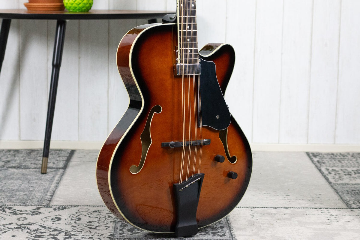 Gold Tone Mandocello Gitaar Semi-Akoestisch (5275637743780)