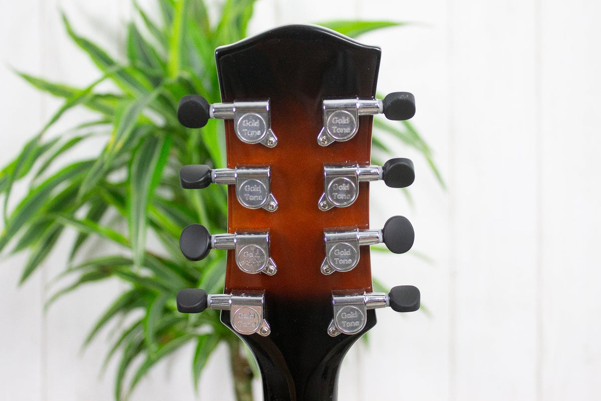 Gold Tone Mandocello Gitaar Semi-Akoestisch (5275637743780)