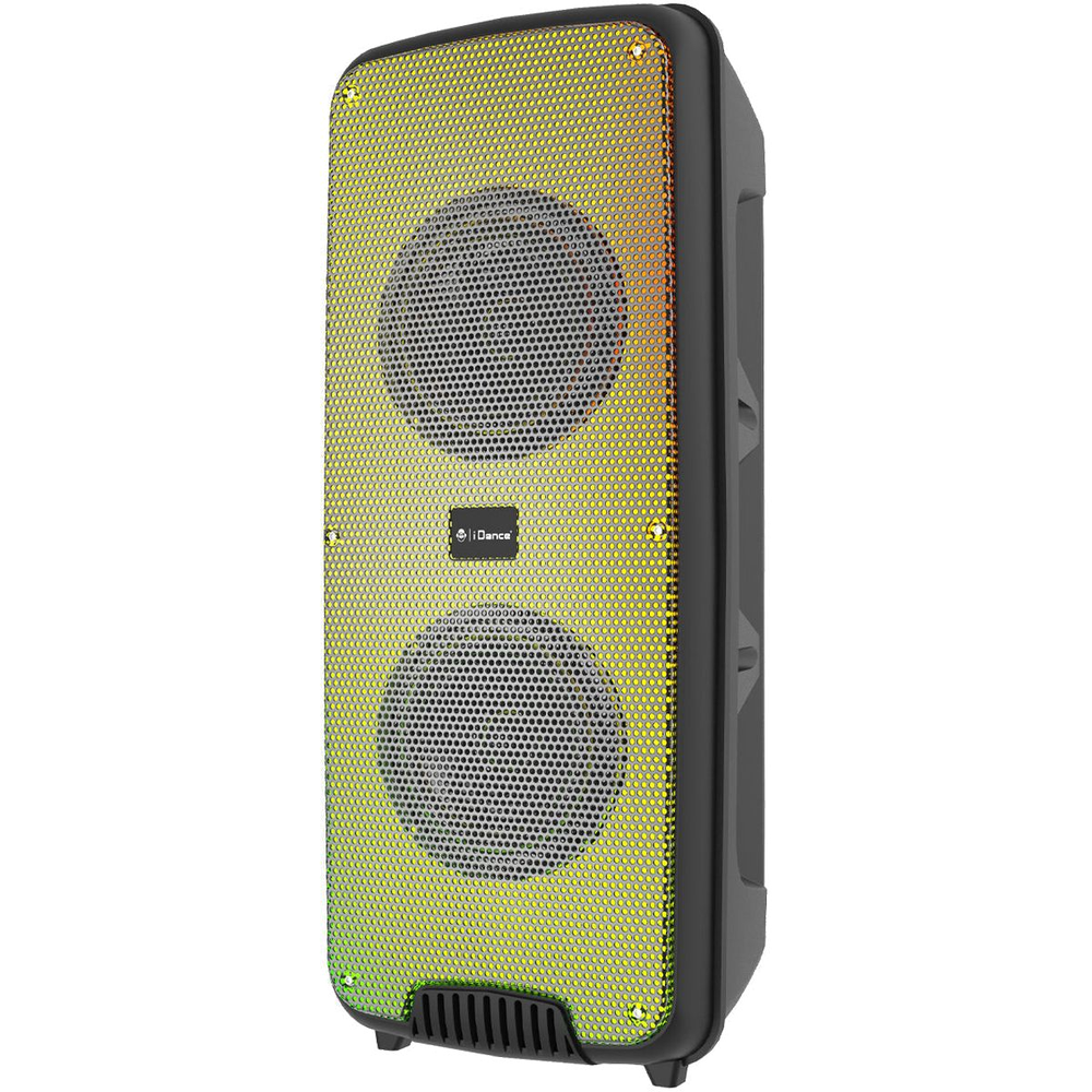 iDance Go Party 4 Bluetooth Portable Speaker