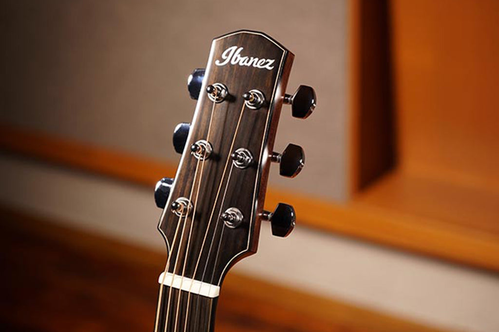 Ibanez AAD50CE-LG