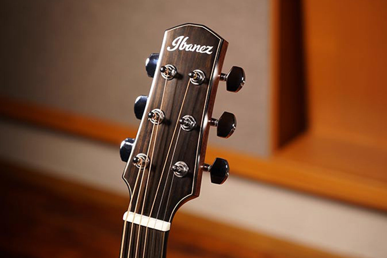 Ibanez AAD50CE-LG