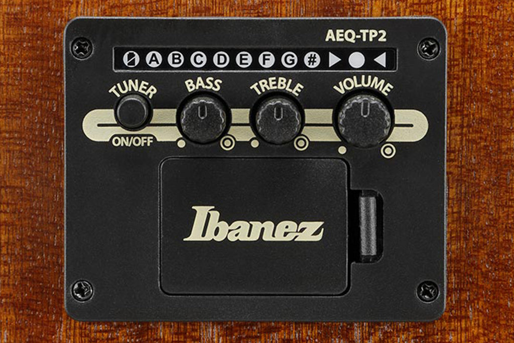 Ibanez AAD50CE-LG
