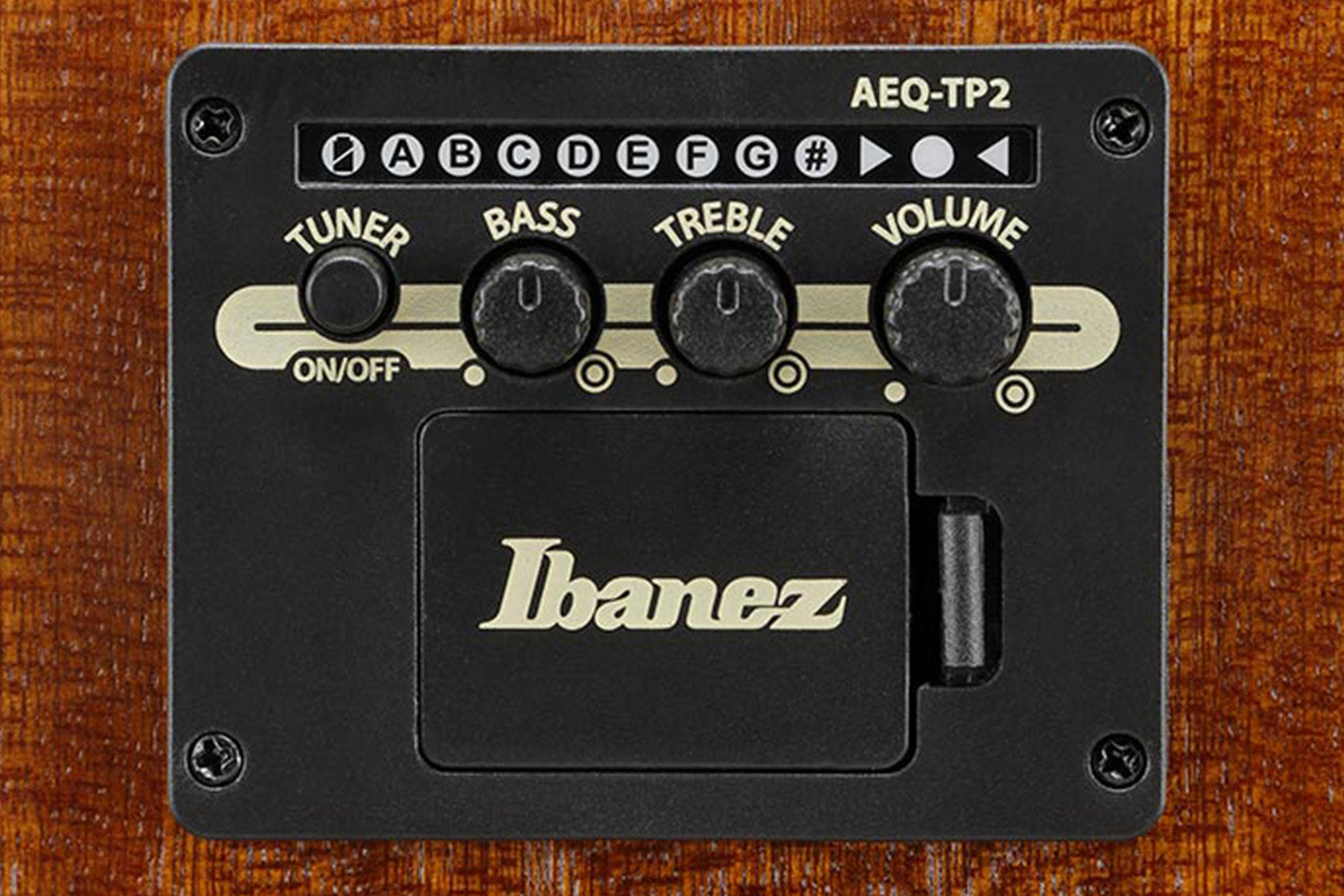 Ibanez AAD50CE-LG