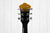 Ibanez AS73-TBC Hollowbody gitaar