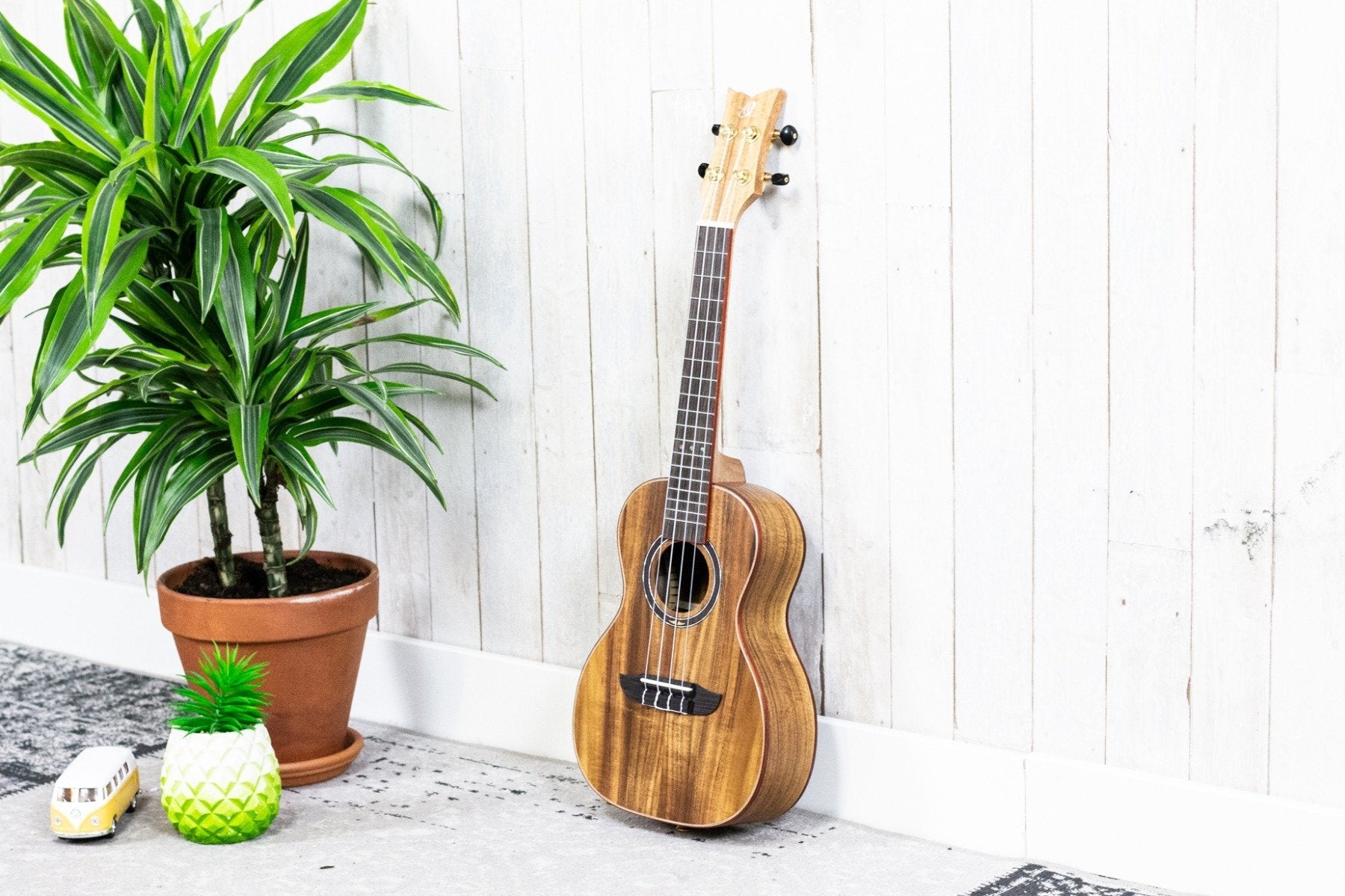 Ortega RUACA-CC Acacia Series Concert (5375627853988)