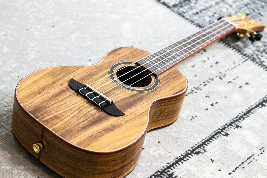 Ortega RUACA-CC Acacia Series Concert (5375627853988)