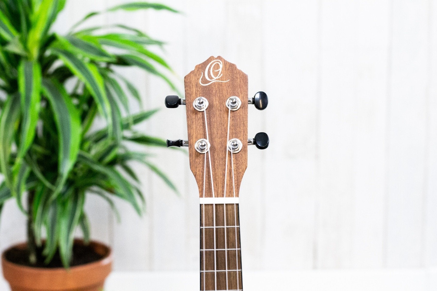 Ortega RU5-CC Bonfire Serie Concert (5375602917540)