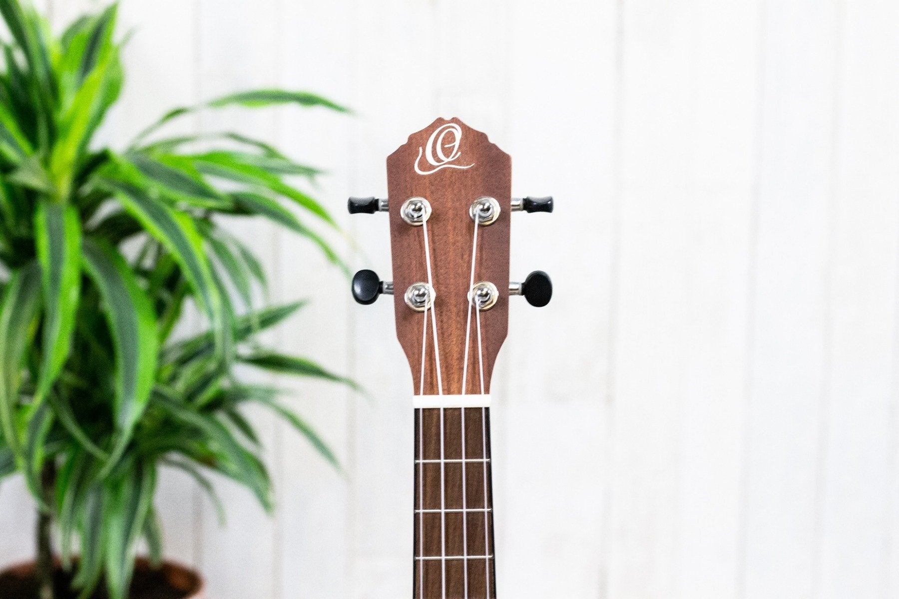 Ortega RU5-TE Bonfire Series Tenor (5375618416804)