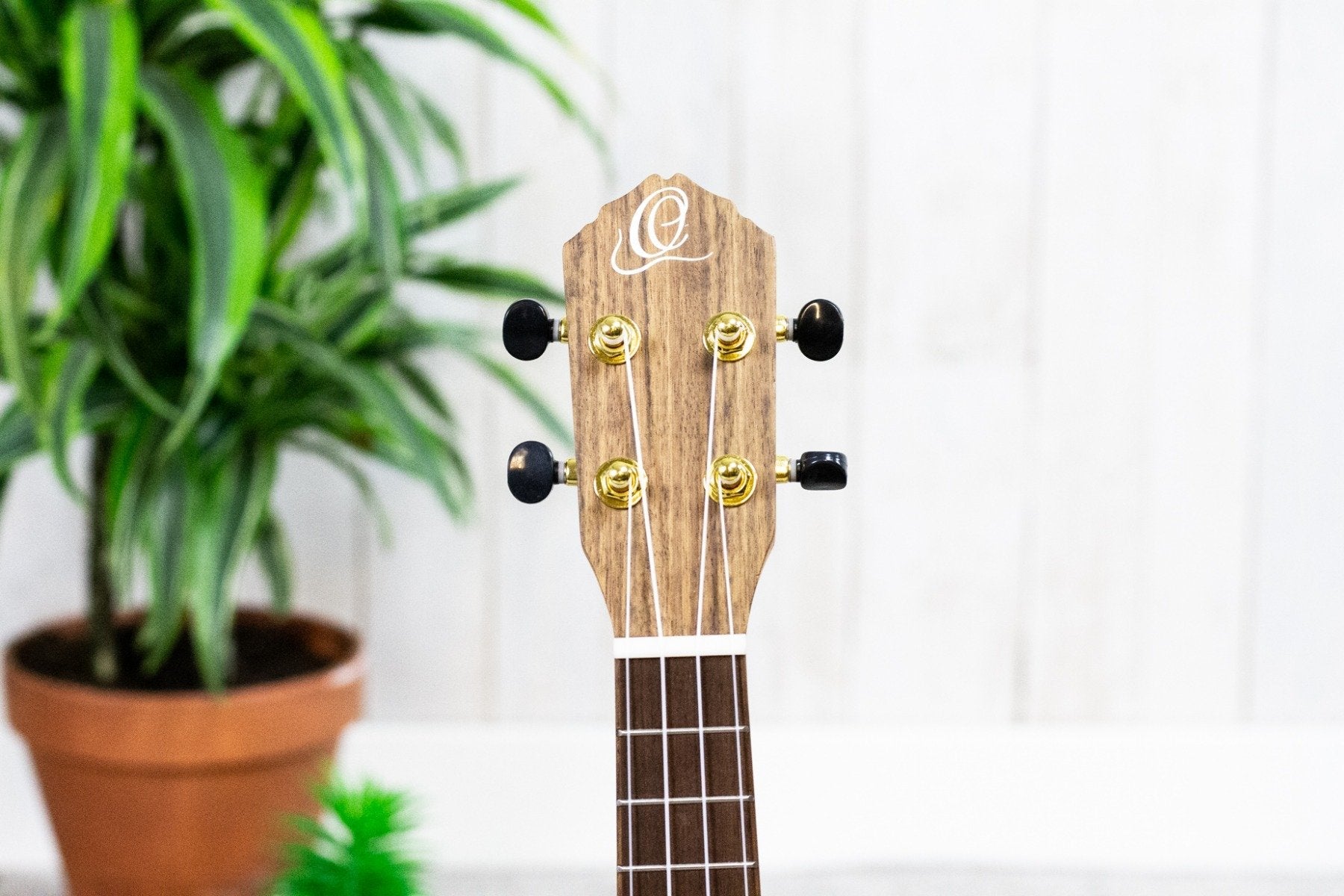 Ortega RUTI-SO Timber Series Sopraan (5375876694180)