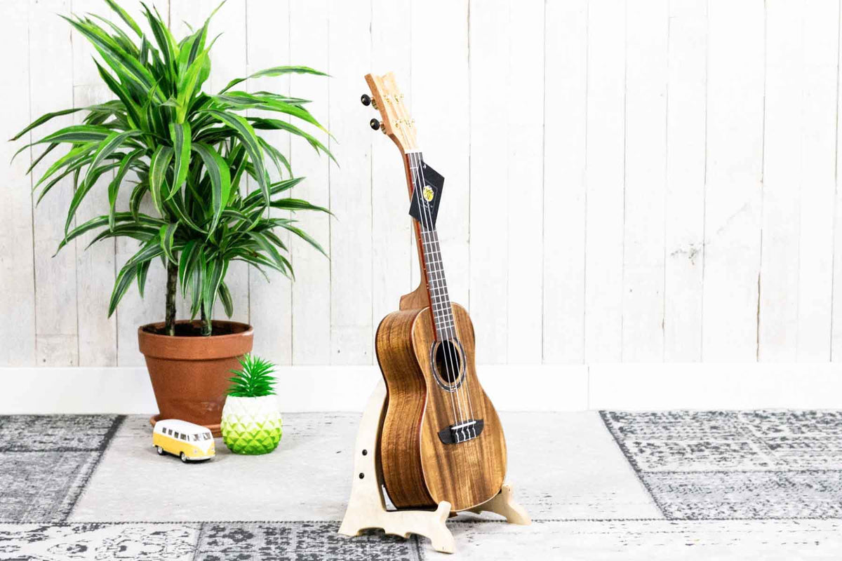 Ortega Ukulele Standaard OWUS-2 (5386651828388)