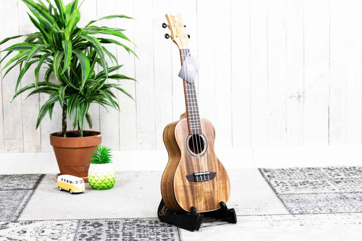 Ortega Ukulele standaard OPUS-1BK Opvouwbaar (5386640261284)