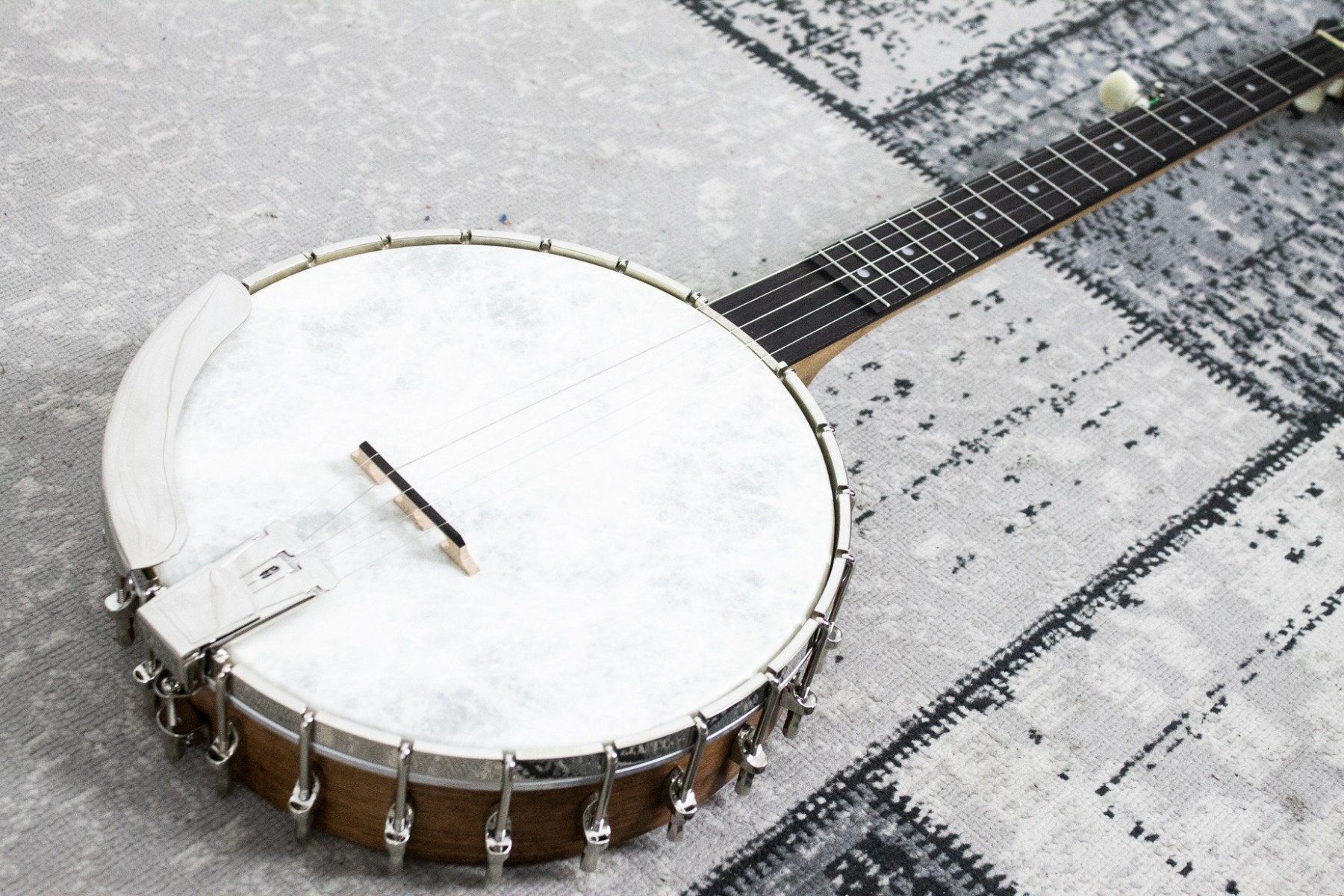 Recording King RK-OT25-BR Old Time Open Back Banjo (5275545141412)