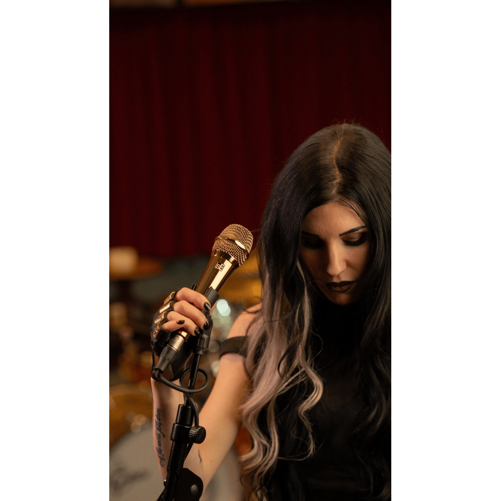 sE Electronics V7 Gold