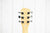 Stagg SVY CST BK Silveray Custom Model Elektrische gitaar (5451581259940)