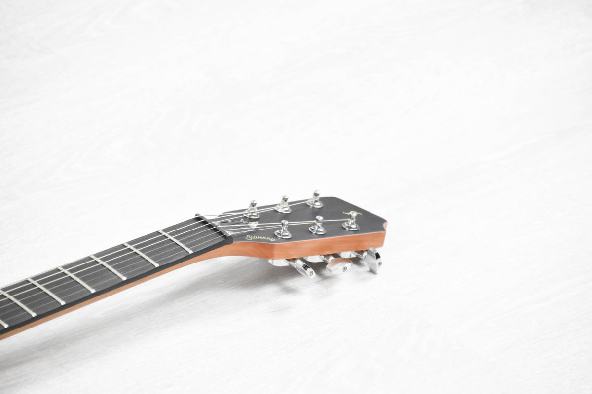 Stagg SVY SPCL BK Silveray Special Model Elektrische gitaar (5451180671140)