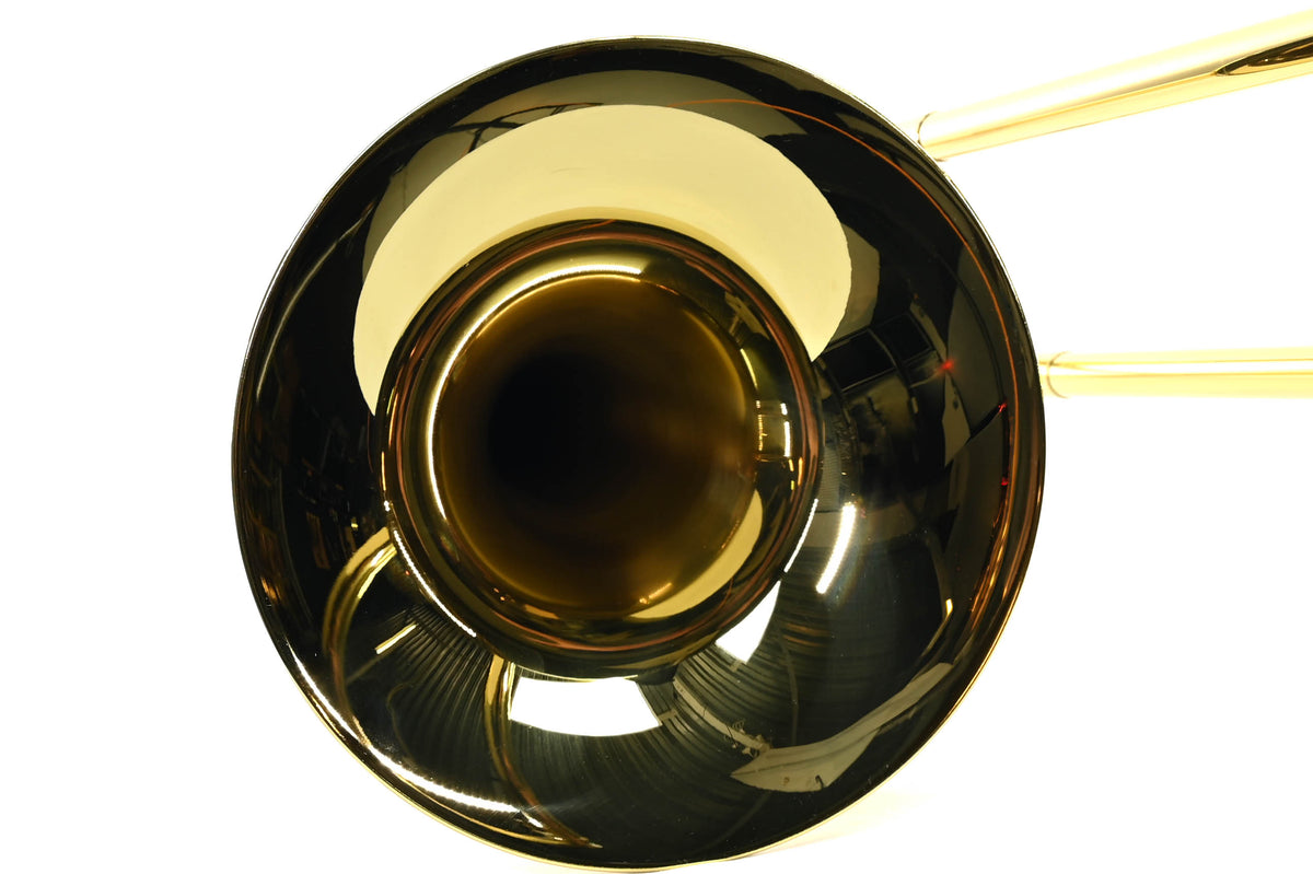 Stagg Trombone WS-TB245