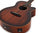 Tanglewood Winterleaf TW4 KOA