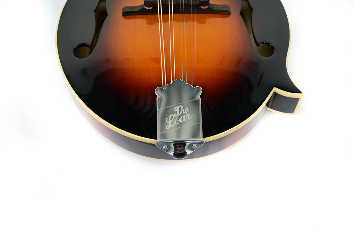 THE LOAR LM 520 VS