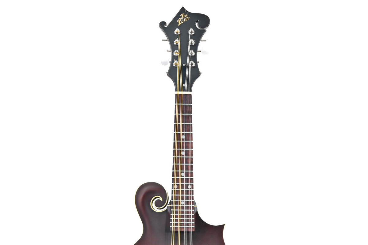 The Loar LM-310-F-BRB Occasion