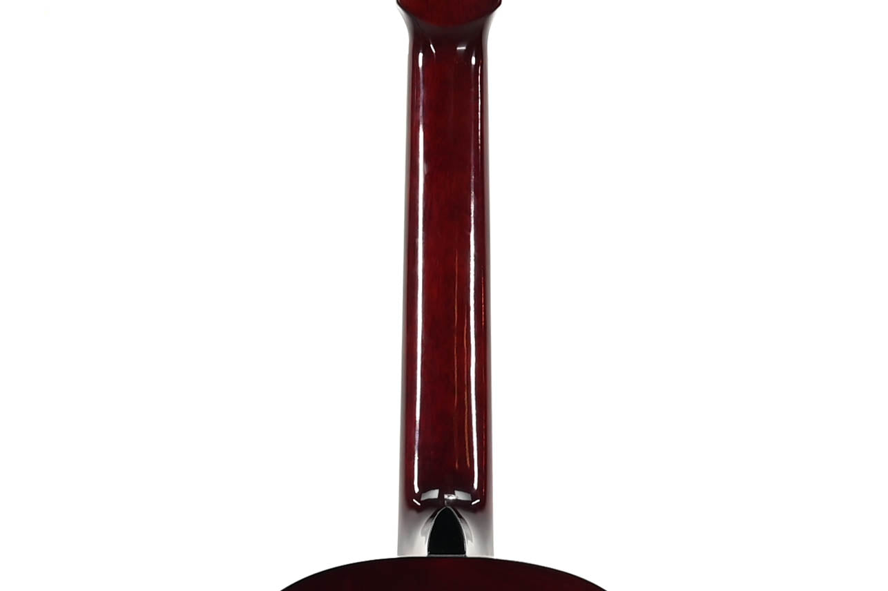 Walden N350 klassieke Gitaar