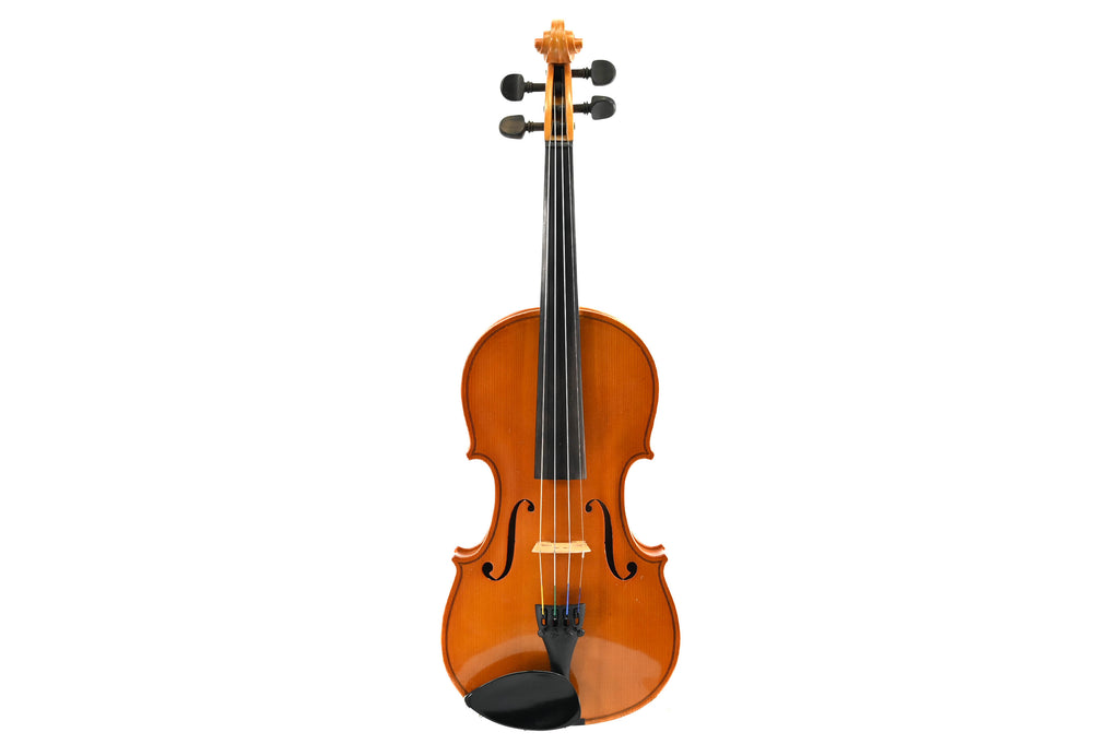 Viool 4/4 set "Diletante"