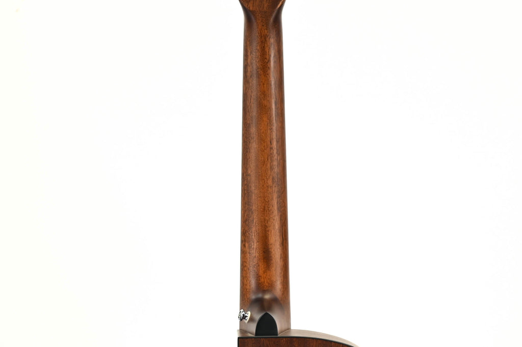 Cort CEC3-NS Nature satin Semi-akoestisch