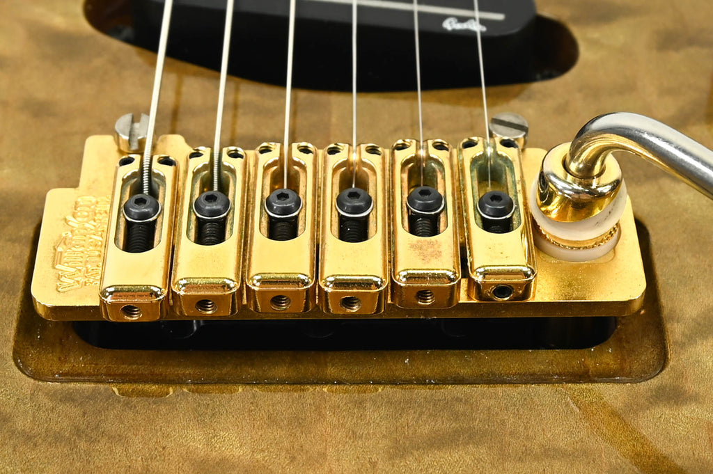 Godin Artisan ST Boutique incl Koffer