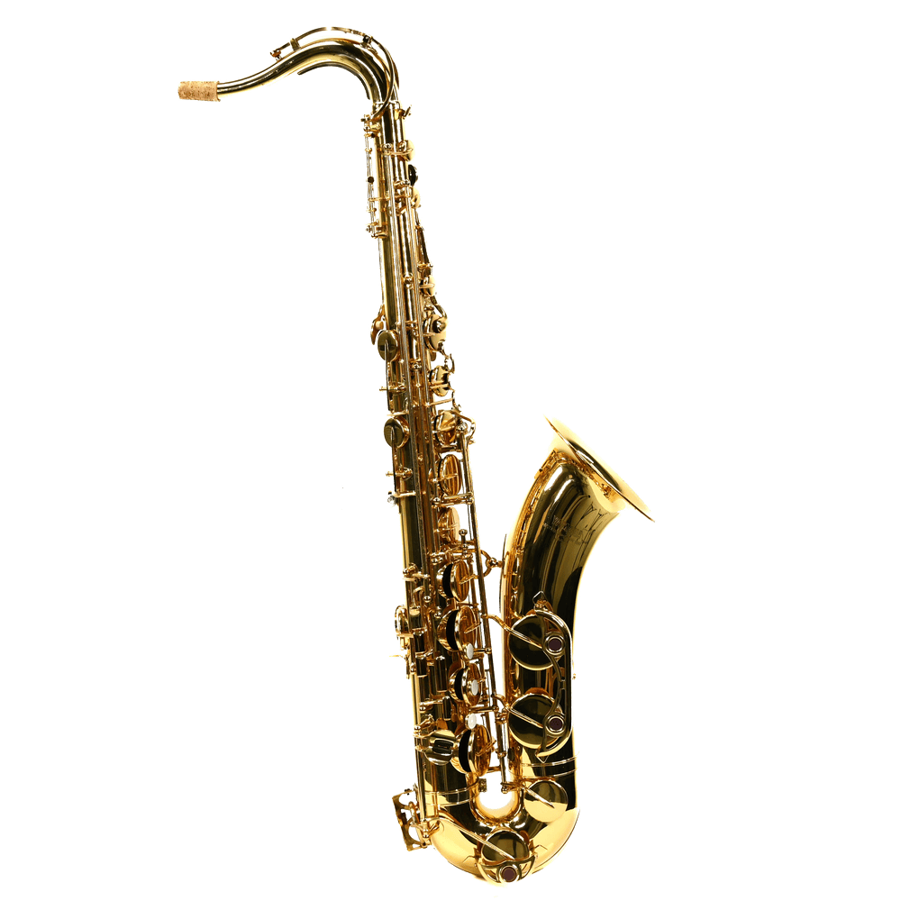Yamaha YTS32 tenorsaxofoon
