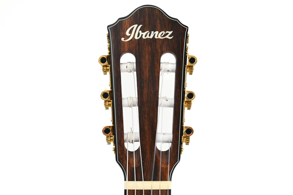 Ibanez FRH10NIBF Thinline Nylon