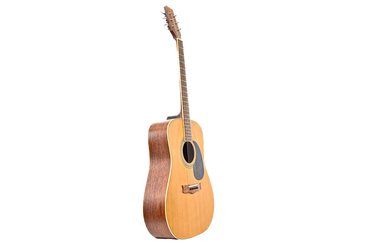 Vantage VS-7 Dreadnought Gitaar Occasion