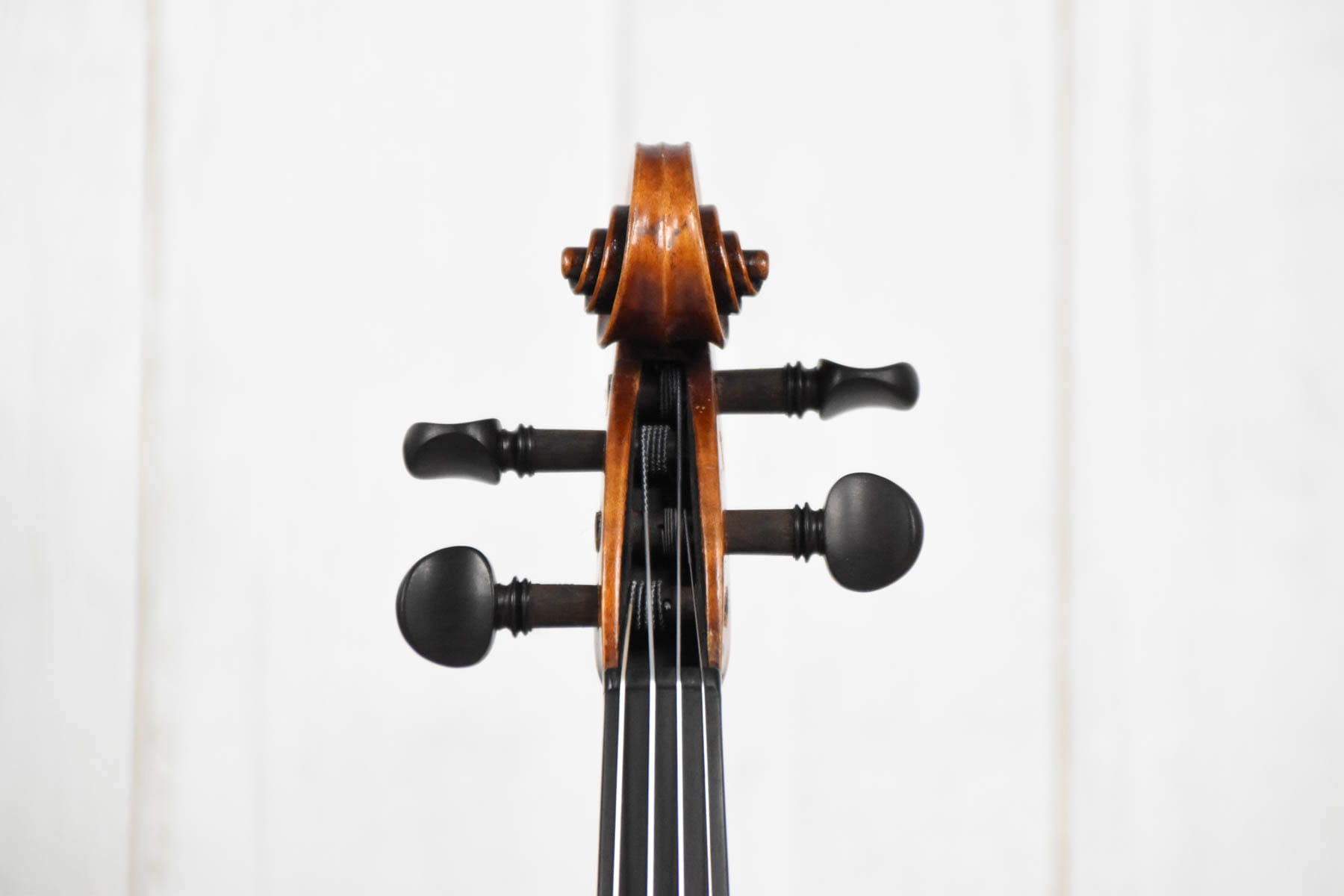 Viole 4/4 Brother Wolff 1910