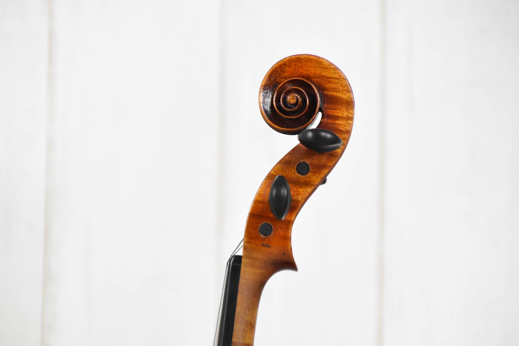 Viole 4/4 Brother Wolff 1910