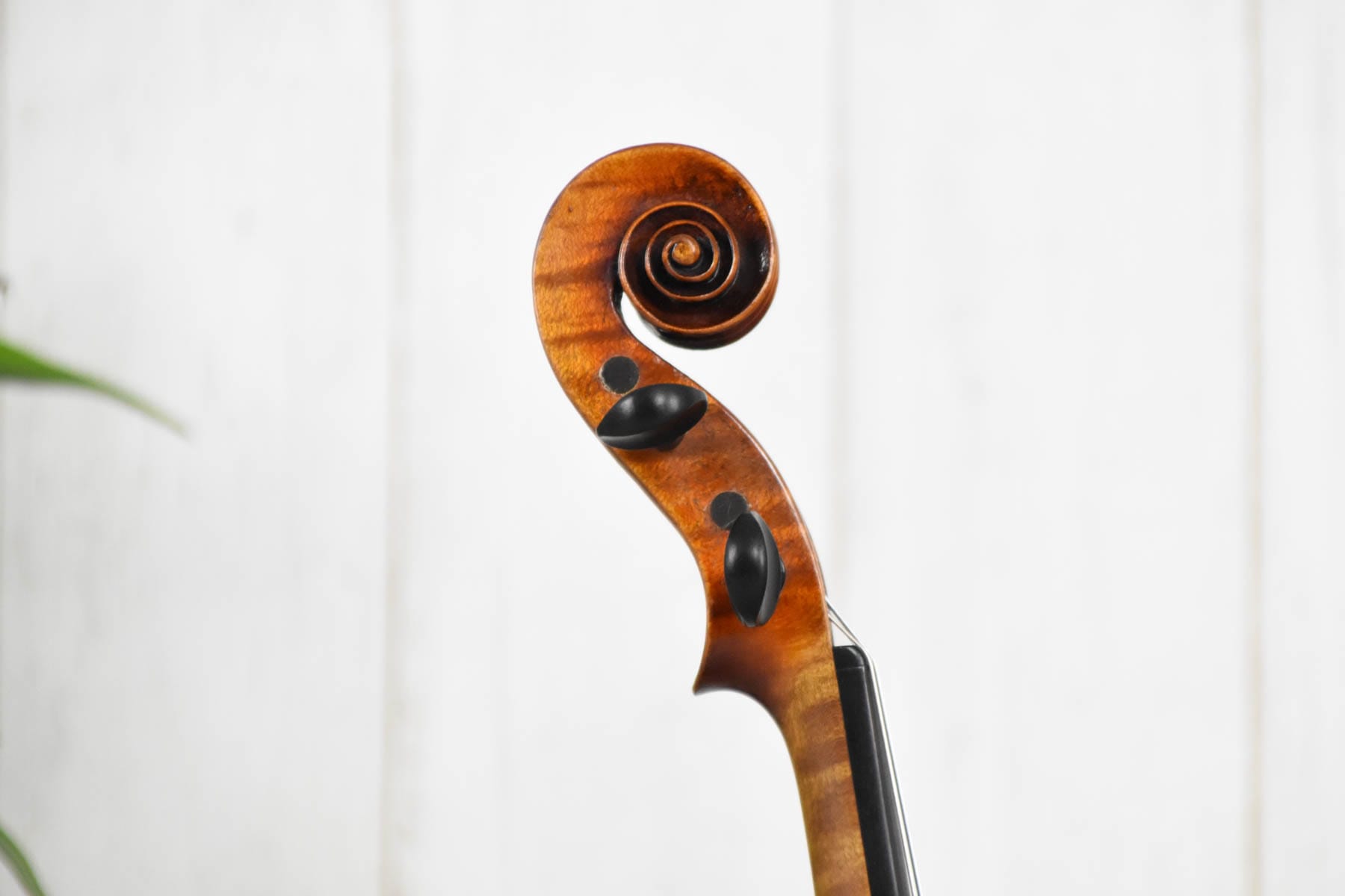 Viole 4/4 Brother Wolff 1910