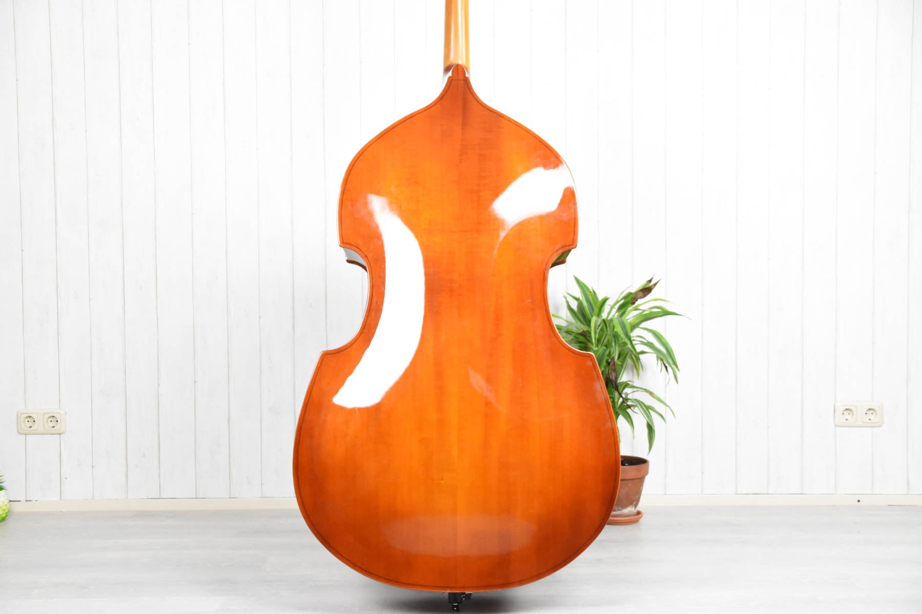 Strunal double bass 4/4 (50/4) laminated