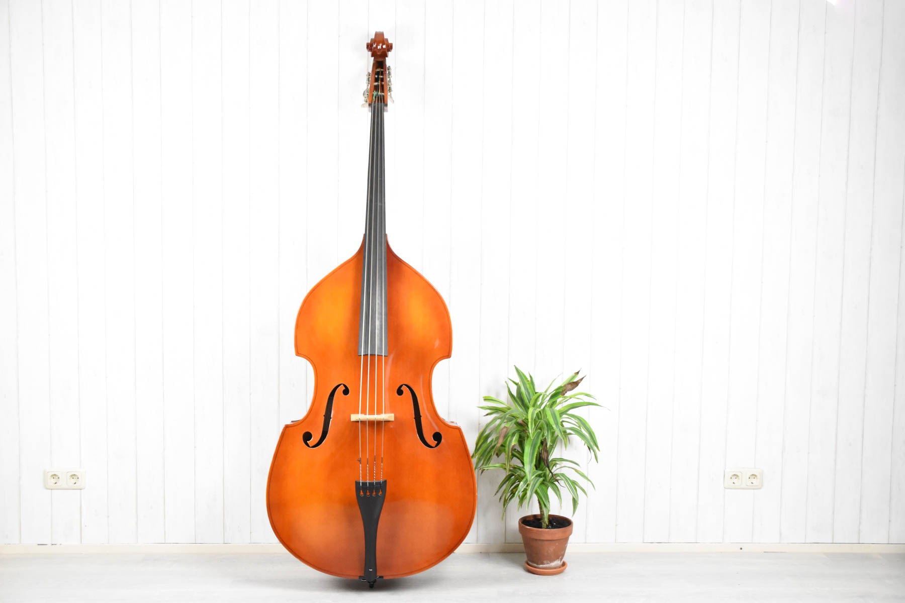 Strunal double bass 4/4 (50/4) laminated