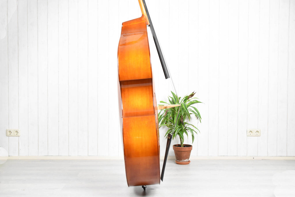 Strunal double bass 4/4 (50/4) laminated