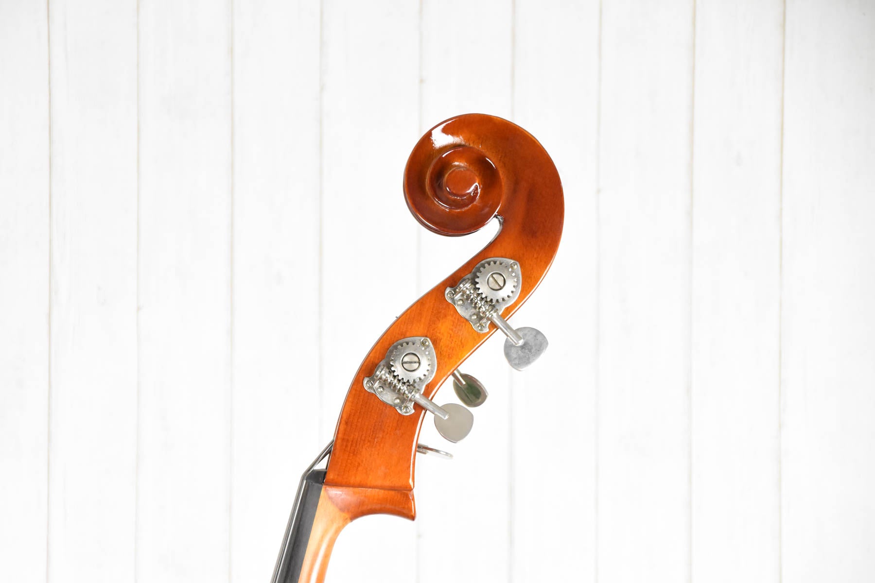 Strunal double bass 4/4 (50/4) laminated